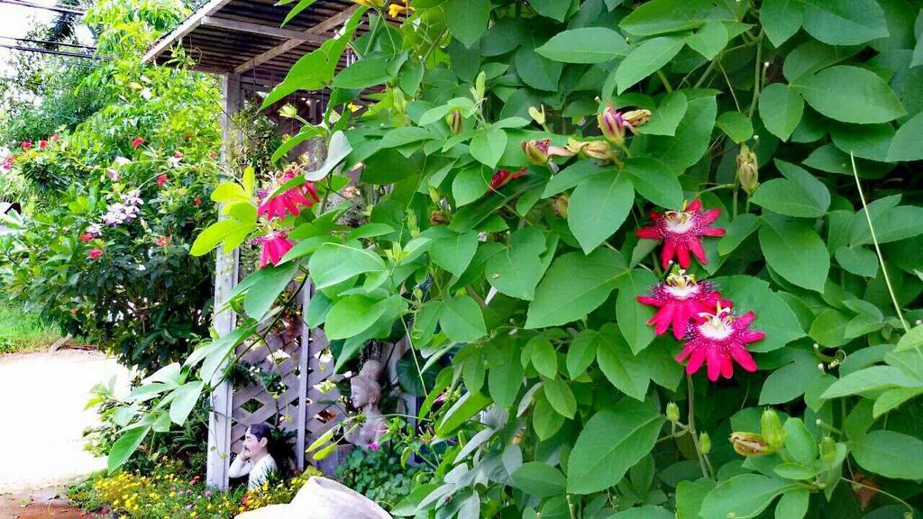 Lampang Lanna Home Eksteriør bilde
